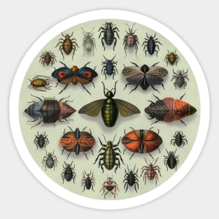 Circular Vintage Insect Entomology Sticker